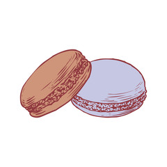 Delicious hand drawn french macarons. Engraving style pen pencil painting retro vintage vector lineart colored illustration. Sweet cookies.