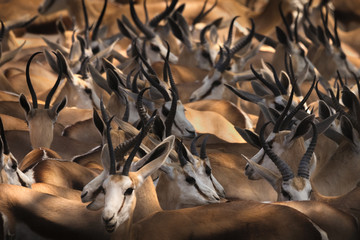 crowded
