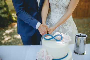 Obraz na płótnie Canvas bride and groom cutting the wedding cake