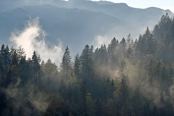 Papier Peint photo Lavable Forêt dans le brouillard nebelschwaden im kleinwalsertal