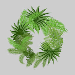 a wreath of two types of palm branches