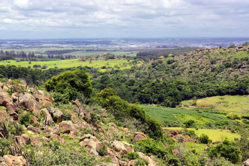 Obraz premium Fazenda Ingá Mirim IMG_8915