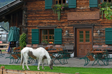 Holzhaus Stock Photos And Royalty Free Images Vectors And Illustrations Adobe Stock