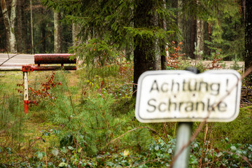 Winter rain walk in the Black Forest Germany