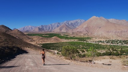 Paysage de la vallée d'Elqui Chili