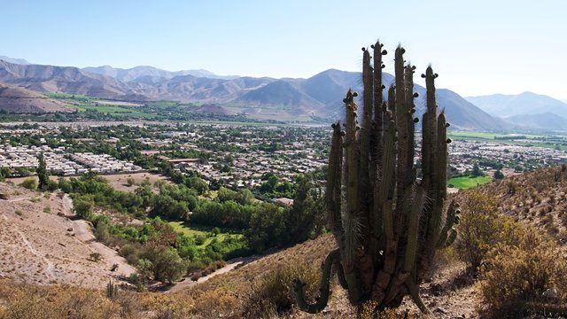 Vue sur la Vall&eacute;e d'Elqui de Vicuna
