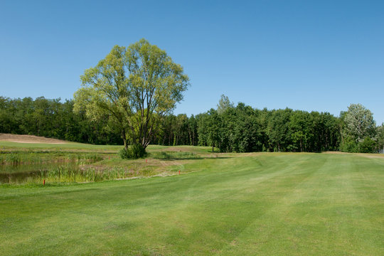 golf course