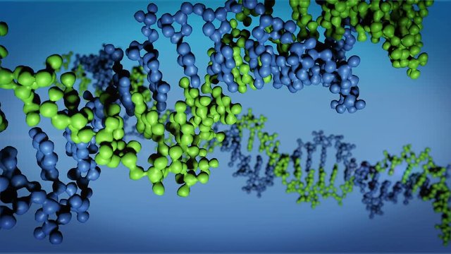 DNA close-up, DNA Molecule Model, DNA Strands, DNA animation

