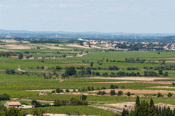 Fields in the Corbieres, France