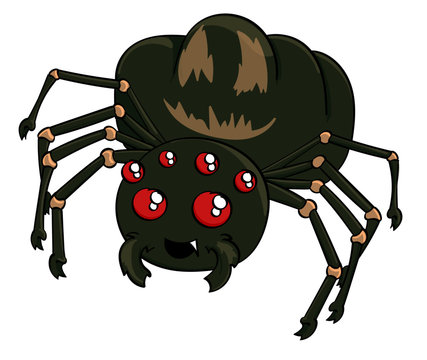 Spider with a Jack-O-Lantern Bottom