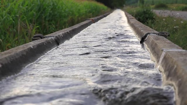 Canal de Riego entre un Maizal y una Carretera