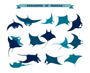 Set of underwater manta ray