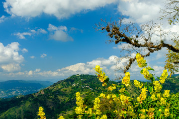 View from and of the Blue Mountains in Jamaica