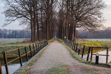 Fototapeta premium Wooden bridge and pad to the forest in the Netherlands, with a calm river