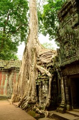 Naklejka premium Angkor Wat Temples Hindu Buddhist temples