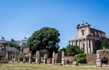 Fototapeta na wymiar Vestal Virgins in Roman Forum