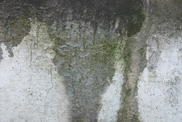 gray green stone background of old wet concrete wall