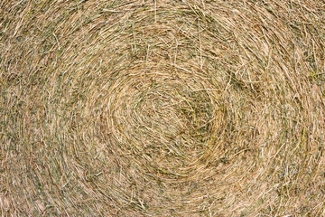 rustic background with alfalfa bale texture in the field