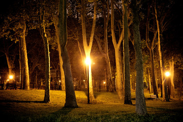 Dark city park seen at night with trees and street lights