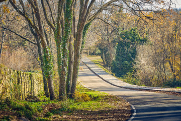 Autumn scene with road in the forest in La Vera, Extremadura. Spain