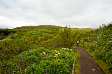 Naturschutzgebiet Island