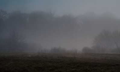 Fog Perspective of a landscape with fields and forests