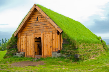 Mit Moos bedecktes Hausdach auf Island