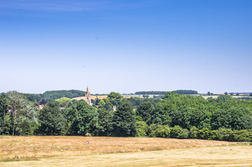 landscape blue sky and trees