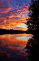 Blue, red, yellow, green and orange sunset sky at the forest lake and reflection in the lake.