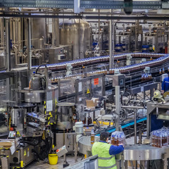 Conveyor belt of brewery production line . Beer polyethylene PET bottles are moving on conveyor