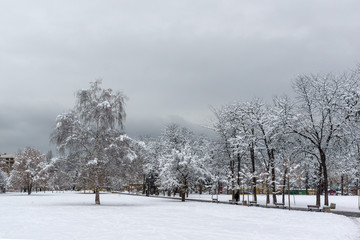 Winter view with snow covered trees in South Park in city of Sofia, Bulgaria