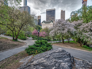 Central Park, New York City in spring
