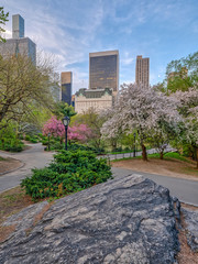 Central Park, New York City in spring