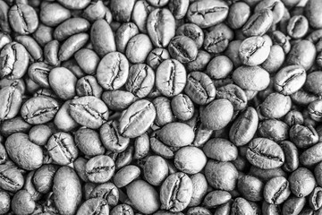 Beautiful texture of freshly roasted selected delicious rich brown natural fragrant coffee tree grains, Arabica coffee beans, Robusta. Flat lay and copy space. The background