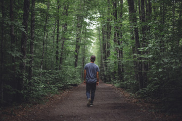 A young man walks alone on a dark forest path, heading in an unknown direction