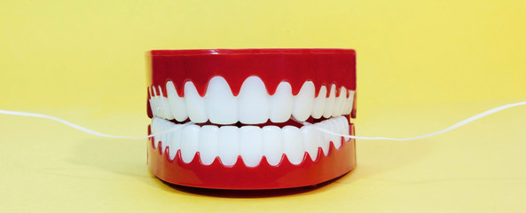 It's never too late for conscientious dental care. Dental floss and fake teeth on a yellow background. Fun. Humor.