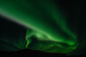 Winter scenic landscape night view of  Aurora Borealis/Northern lights dancing on the clear sky full of stars above lake Myvatn, north Iceland Beautiful winter wonderland/fairytale background scene. 