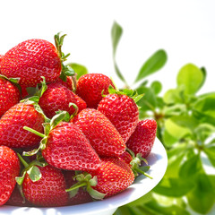 white ceramic bowl with strawberries isolated on white background