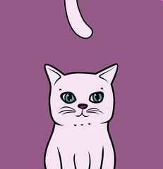 cat