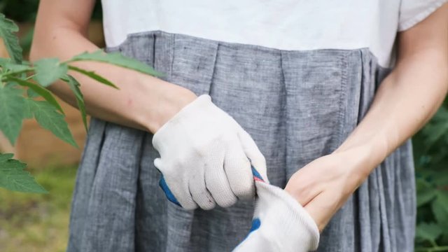 Gardener in dress puts on work gloves in the greenhouse close-up