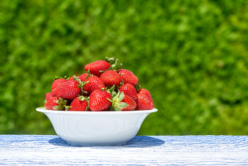 white ceramic bowl with strawberries isolated on green garden background