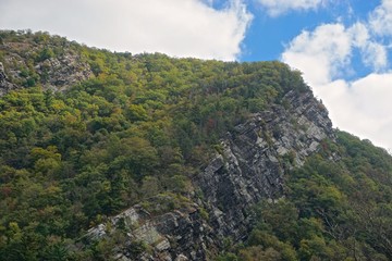 Point of Gap Overlook, Delaware Water Gap, Pennsylvania, USA: Trees and shrubs growing out of crevices in the sedimentary rock on Mt. Minsi.