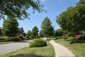 green landscape