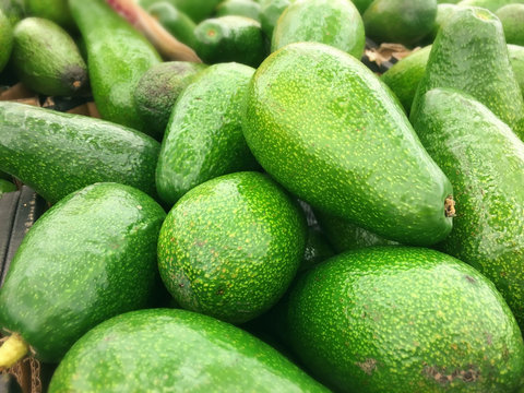 Background of fresh green avocado closeup, mobile photo