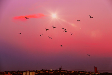 Por-do-Sol
