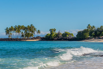 Tropical beach with turquoise blue water and palm trees