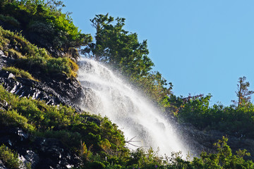 Waterfalls in early morning light in Glacier Narional Park.