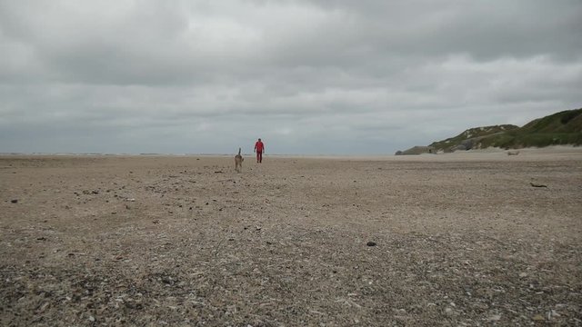 Uomo con il cane cammina in spiaggia