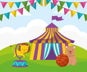 cute circus lion jumping ring in tent