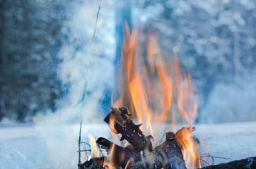 Campfire burns in the snow in the woods, on a background of snow covered trees. campfire burning in...